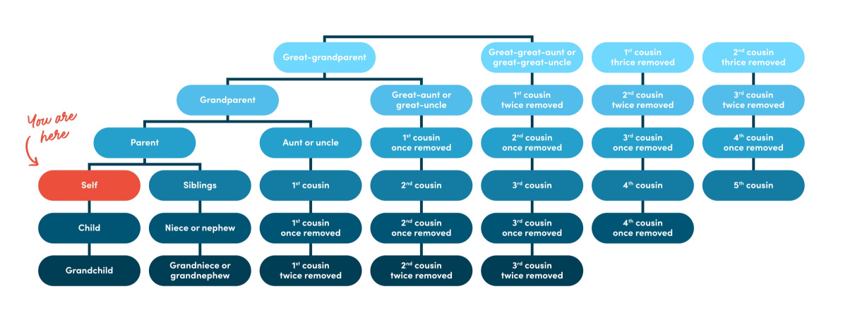 A family tree showing cousins